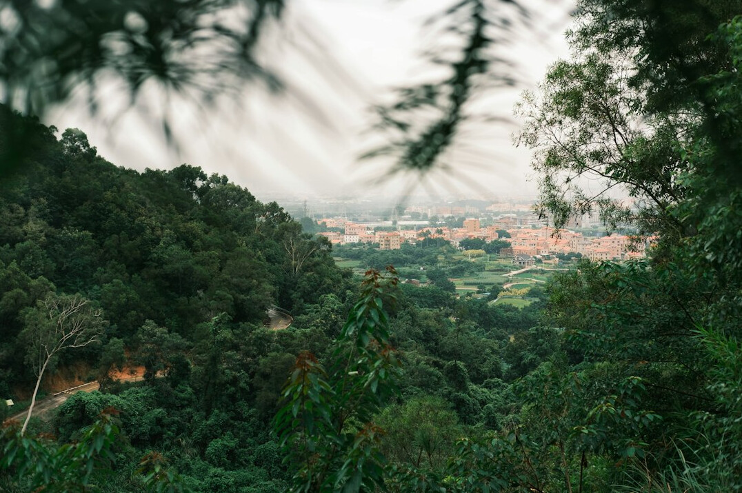 urban vs rural environment views