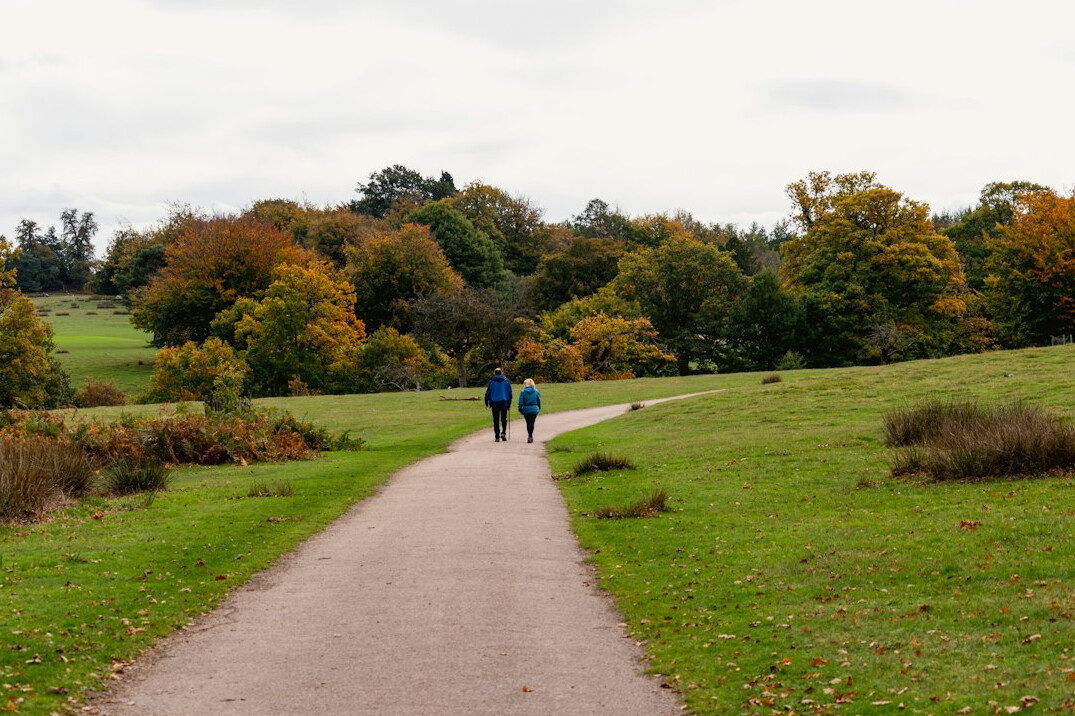 couple walking in park